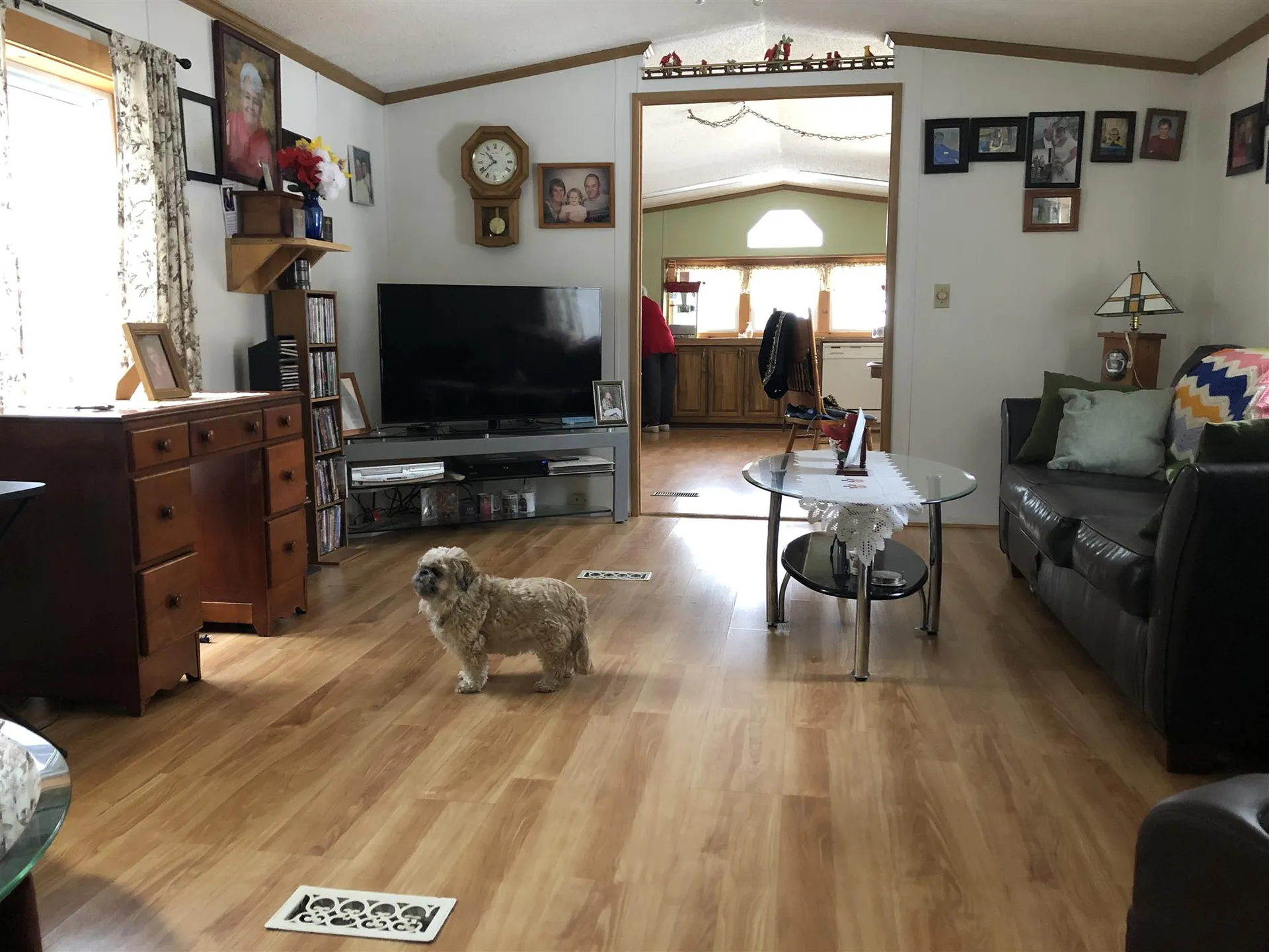 186 Oakwood Drive Hyde Park VT 05655