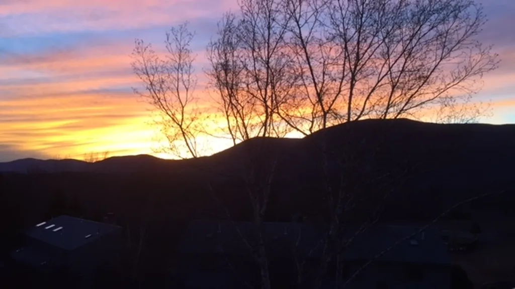 4905 Vaughn Farm Road Manchester VT 05255