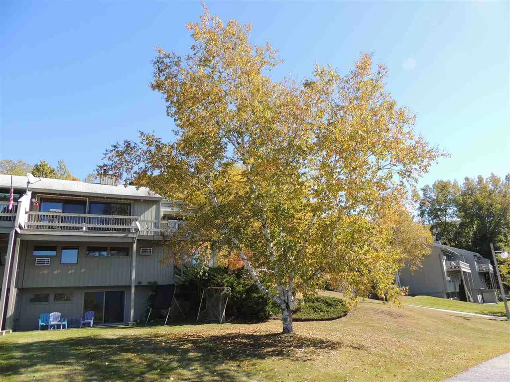 4905 Vaughn Farm Road Manchester VT 05255