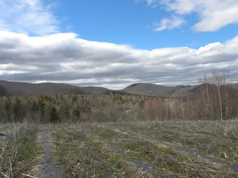 Lot 2 Weaver Road Huntington VT 05462