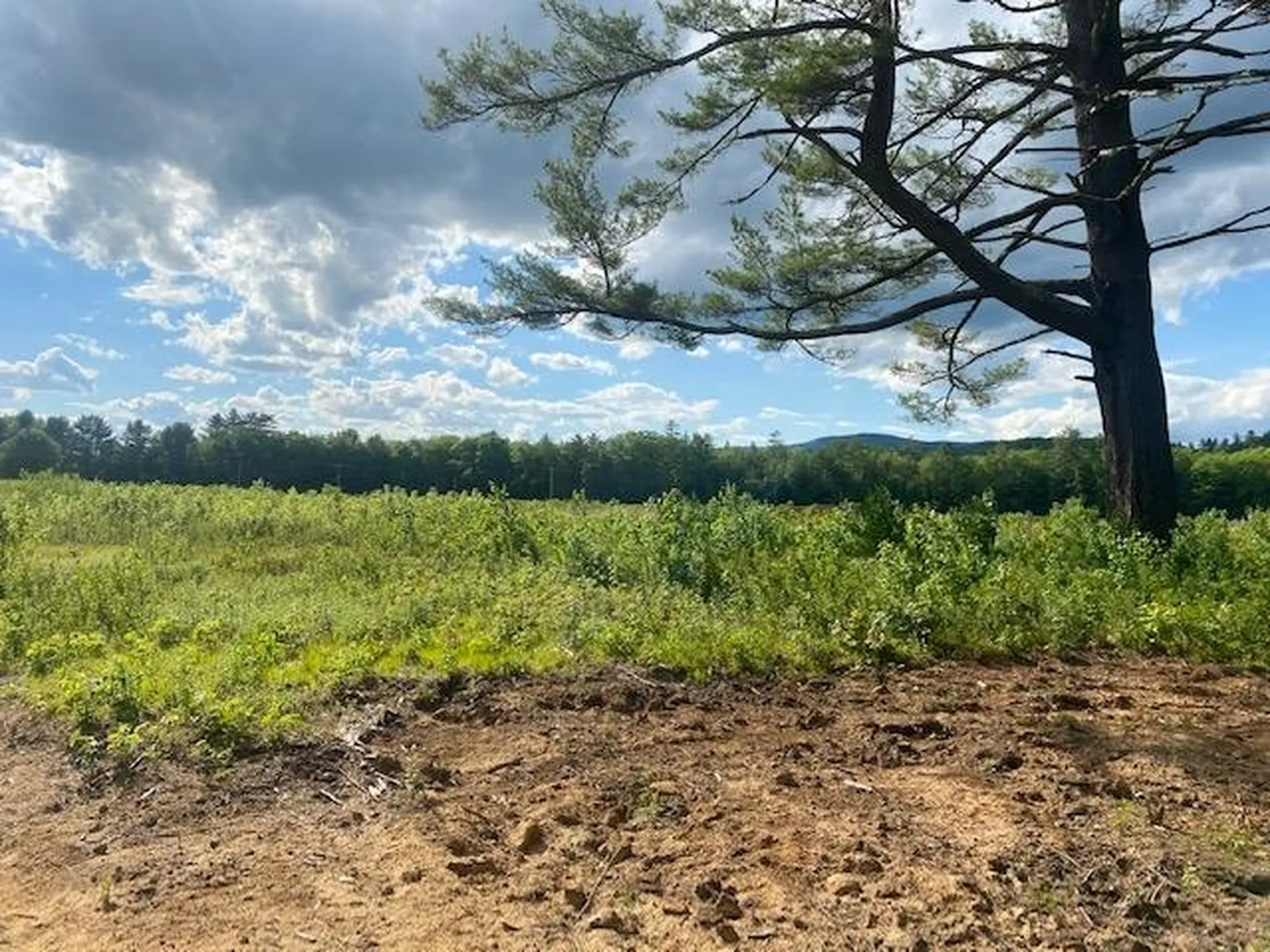 260 Fairgrounds Road Plymouth NH 03264