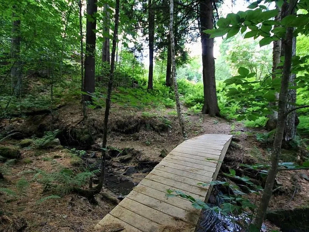 173 Peterkin Hill Road Woodstock VT 05071
