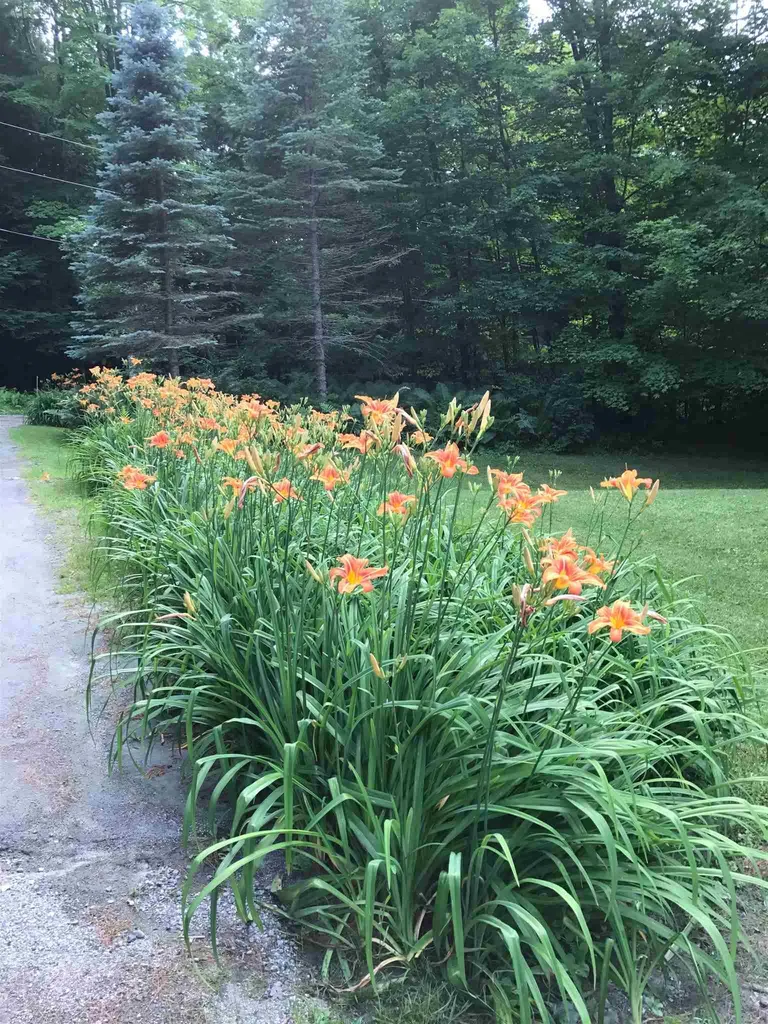 173 Peterkin Hill Road Woodstock VT 05071