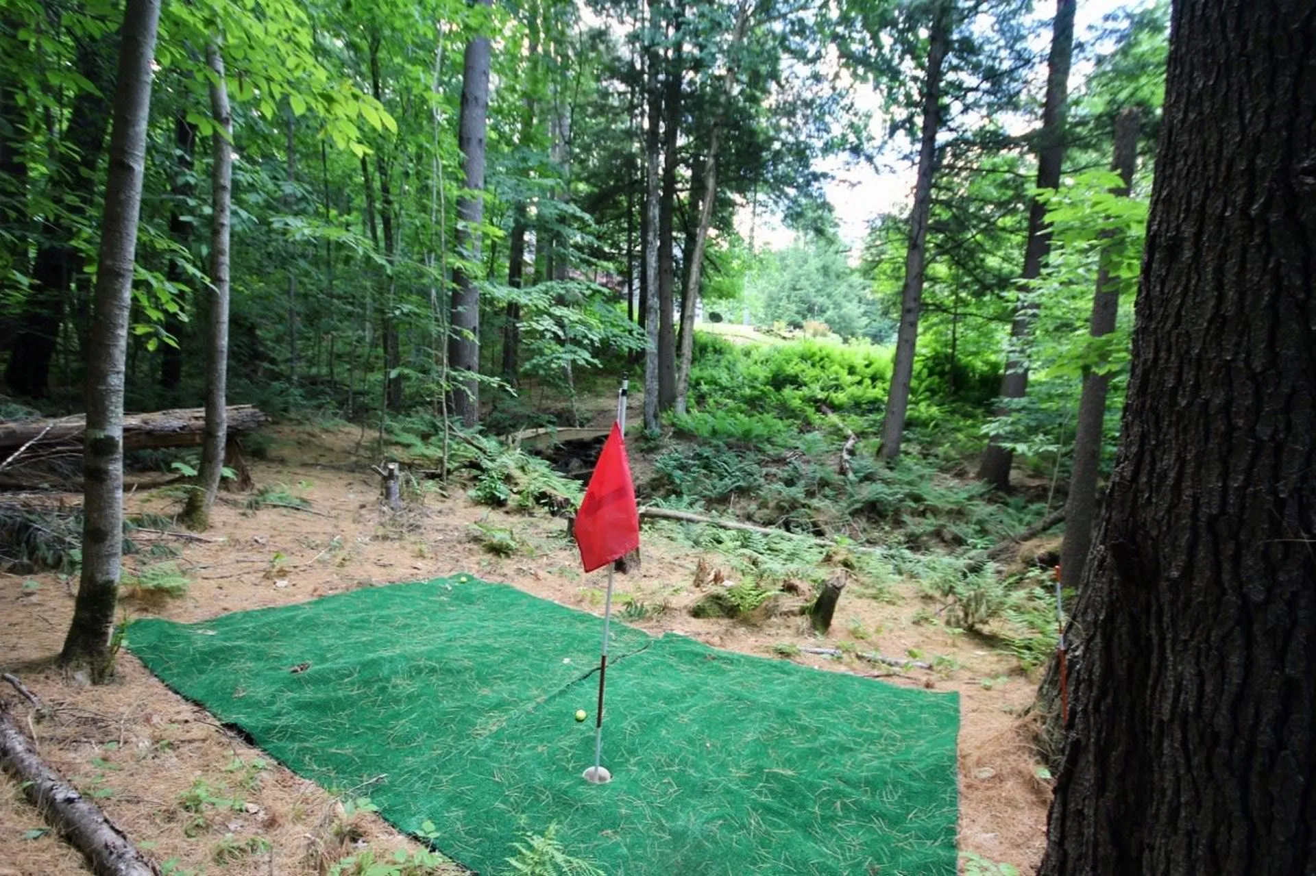 173 Peterkin Hill Road Woodstock VT 05071