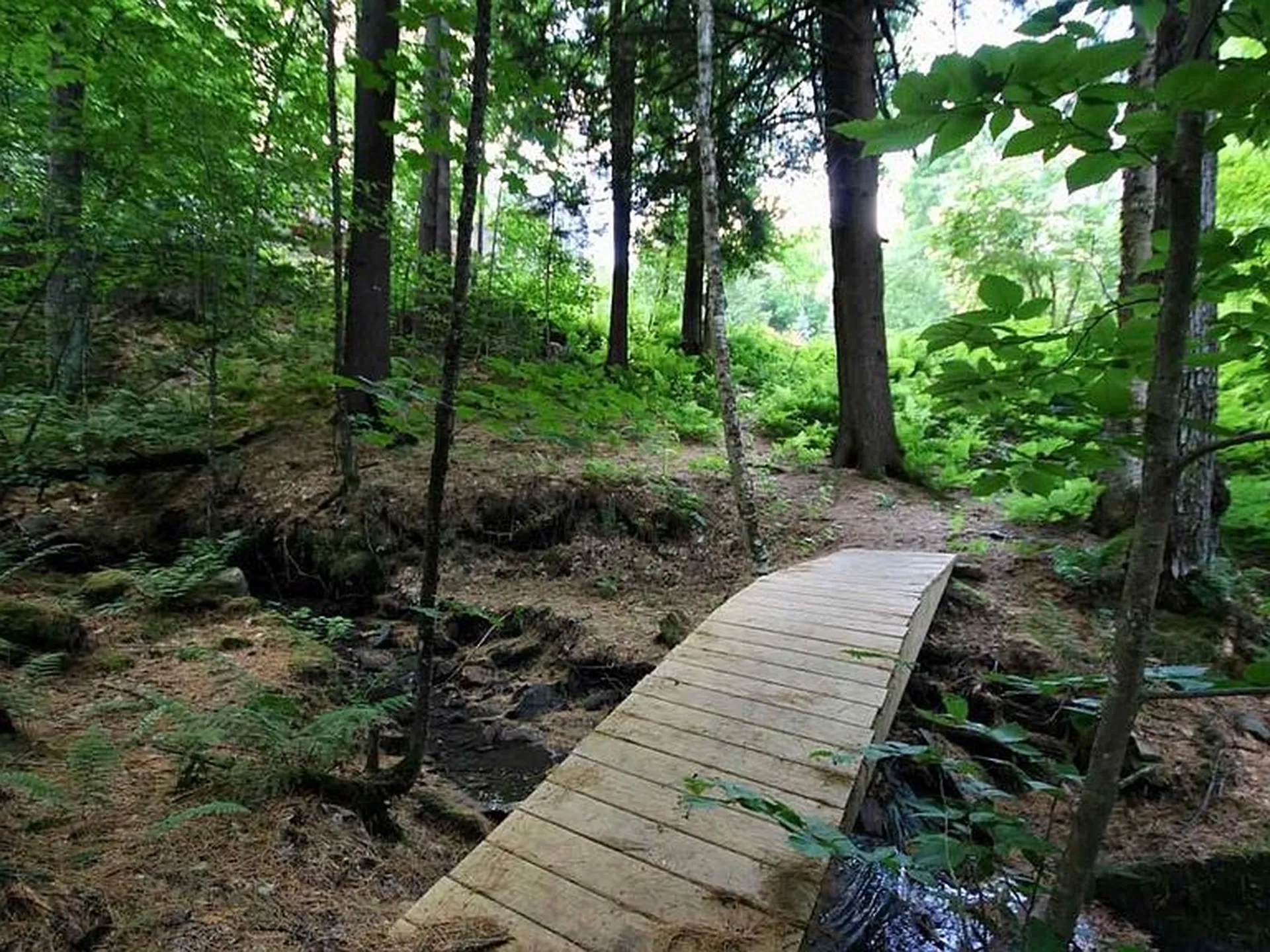 173 Peterkin Hill Road Woodstock VT 05071