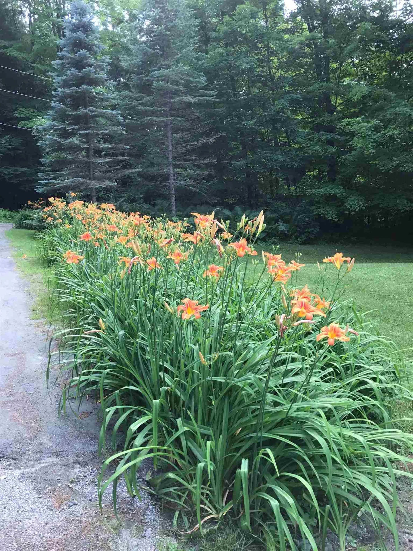 173 Peterkin Hill Road Woodstock VT 05071