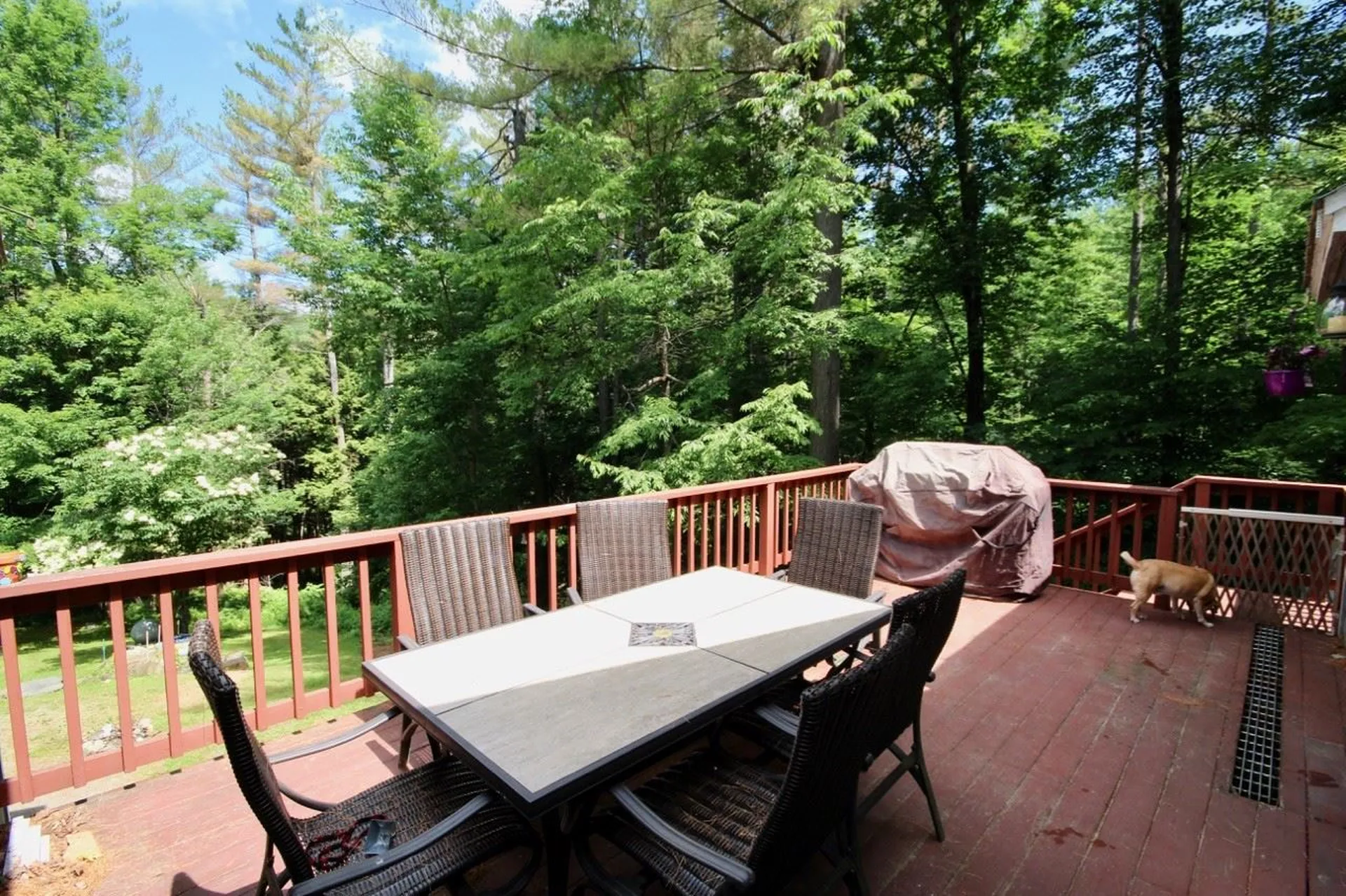173 Peterkin Hill Road Woodstock VT 05071