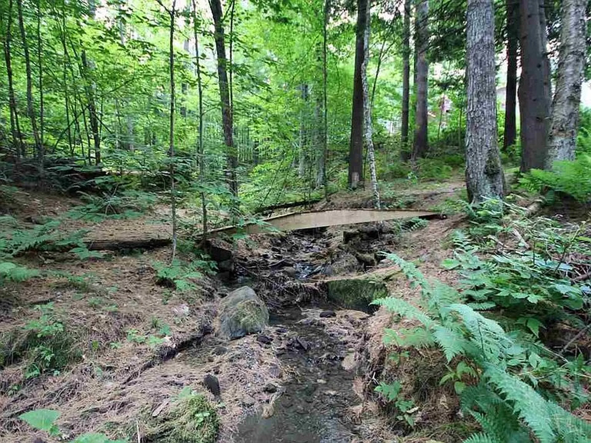 173 Peterkin Hill Road Woodstock VT 05071