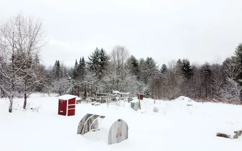 1826 Wheelock Road Sutton VT 05867