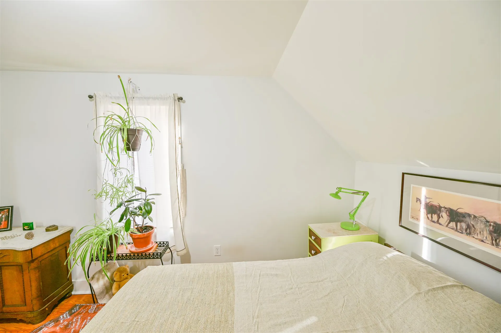 15 Cogswell Street Barre Town VT 05654