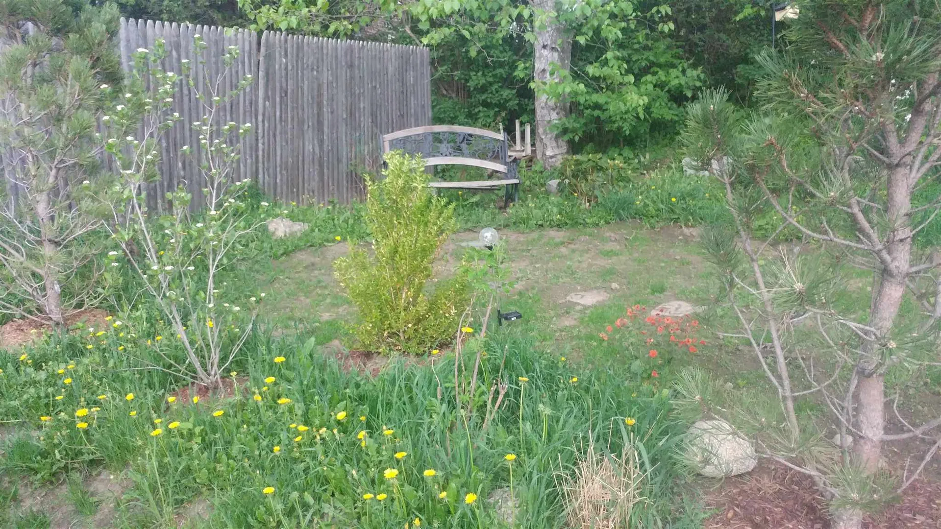 15 Cogswell Street Barre Town VT 05654