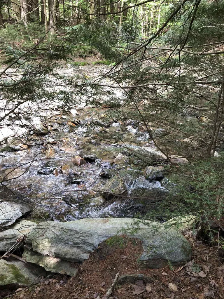 153 Pine Grove Road Jay VT 05859