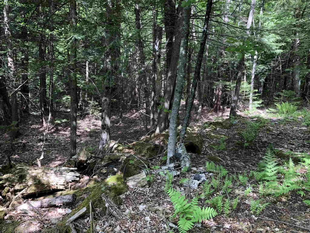 153 Pine Grove Road Jay VT 05859