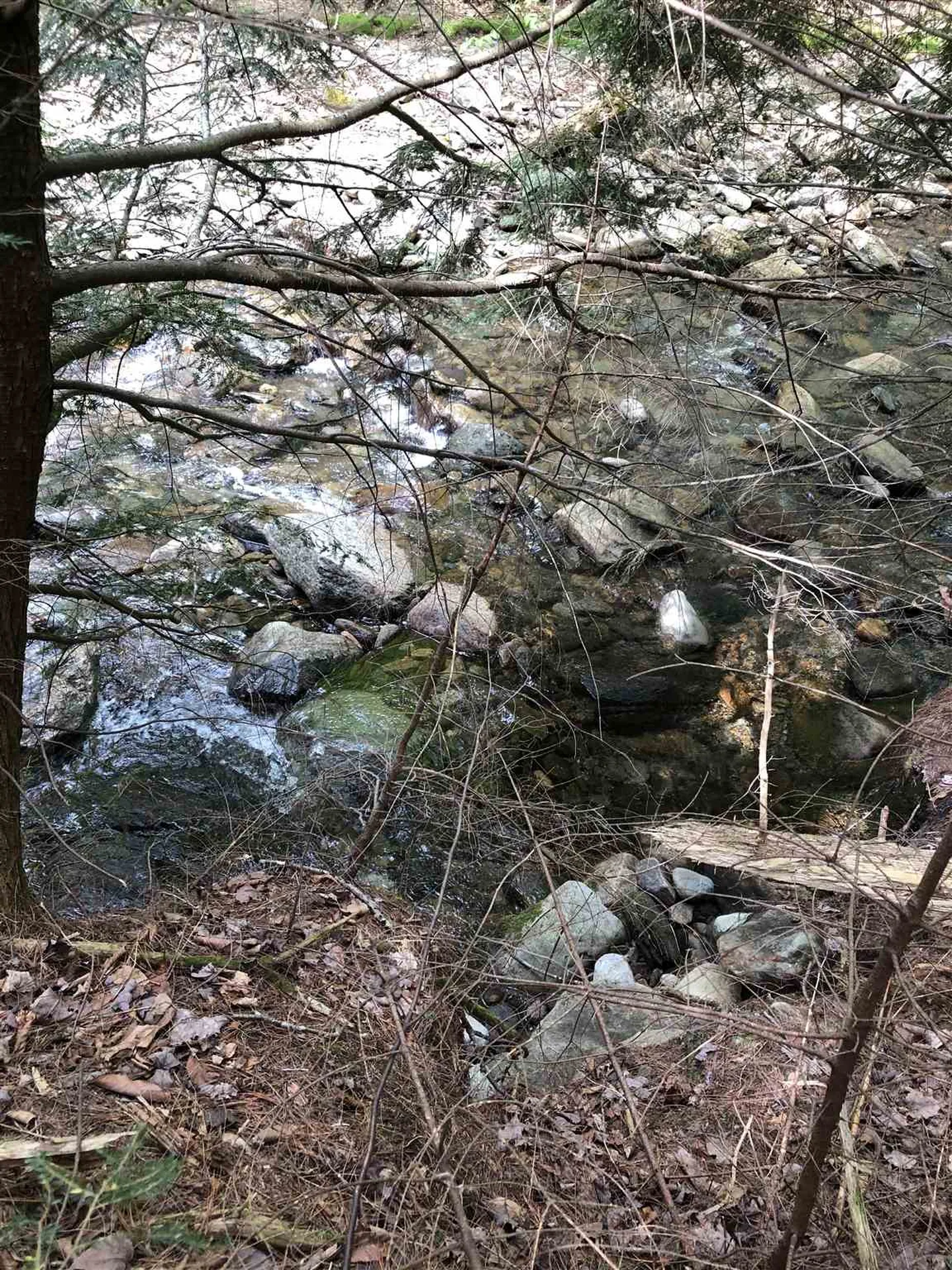 153 Pine Grove Road Jay VT 05859