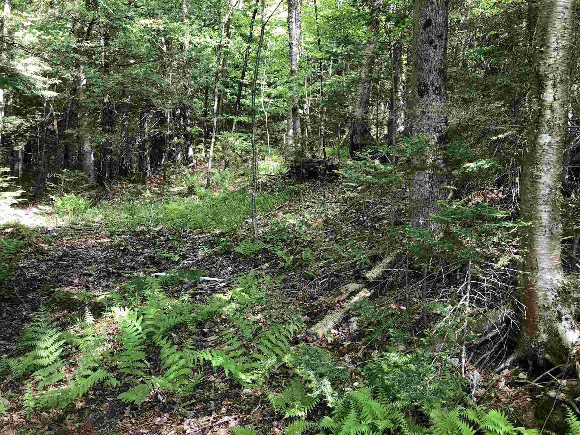 153 Pine Grove Road Jay VT 05859