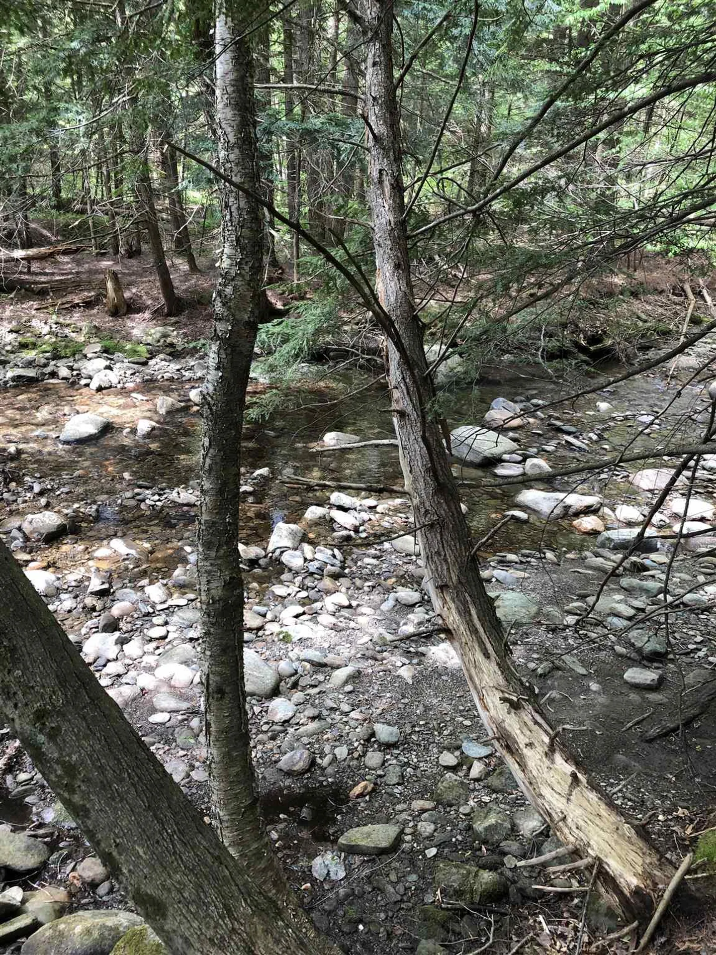 153 Pine Grove Road Jay VT 05859