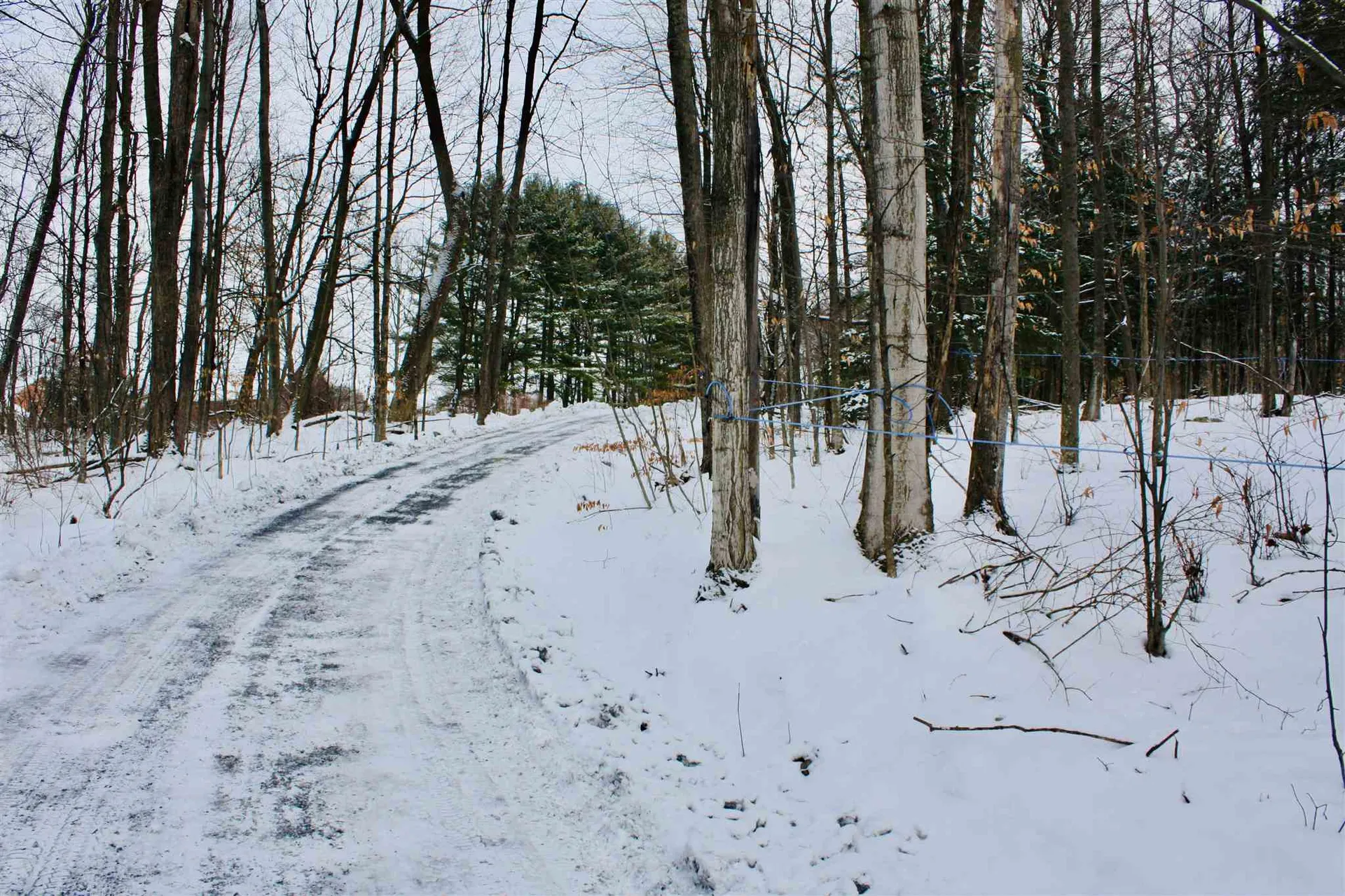 1426 Pearson Road New Haven VT 05472