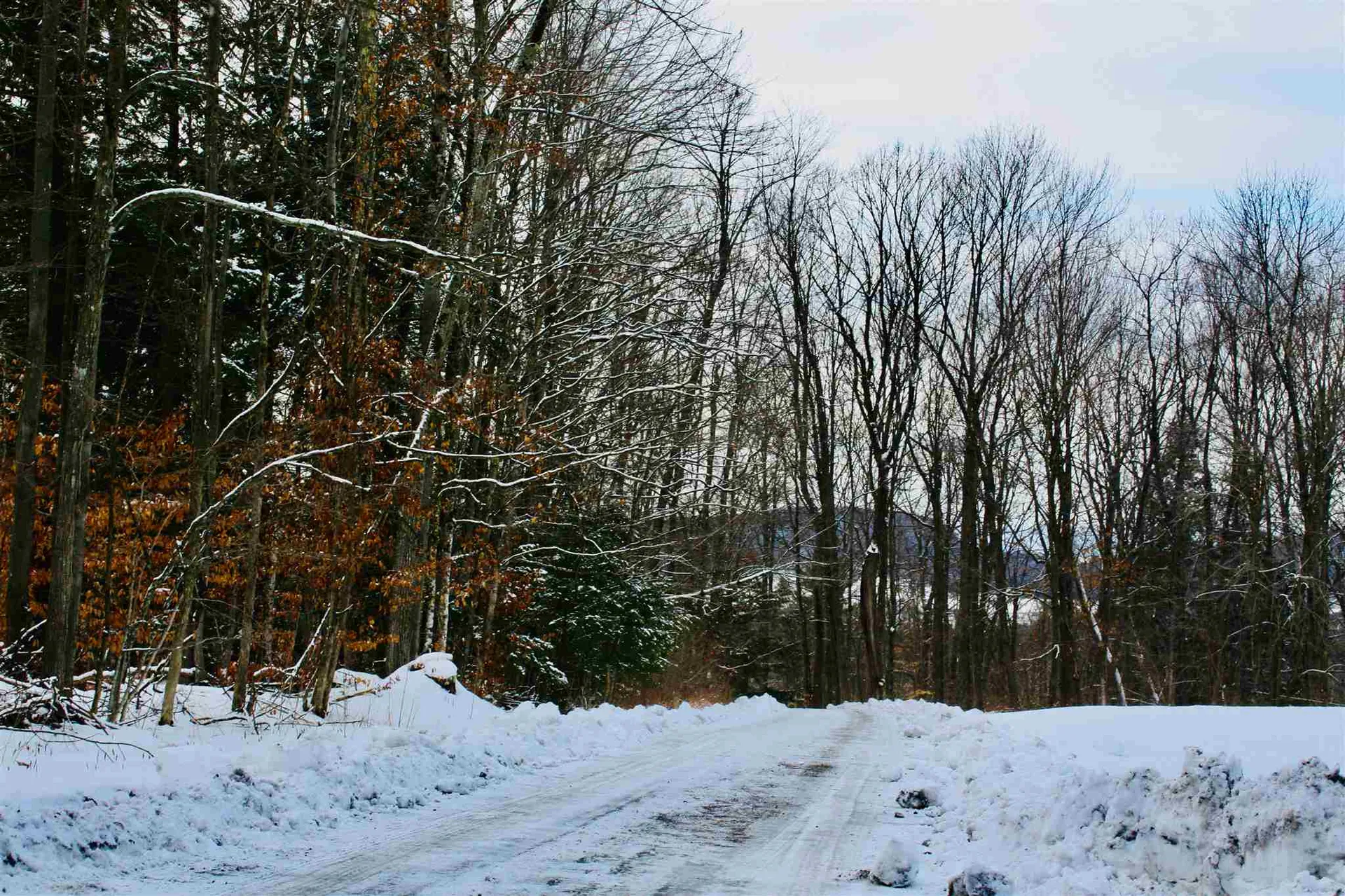 1426 Pearson Road New Haven VT 05472