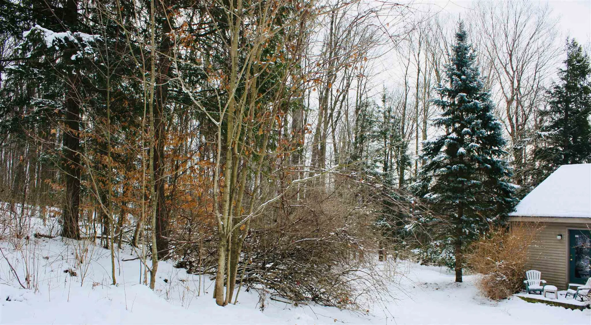 1426 Pearson Road New Haven VT 05472