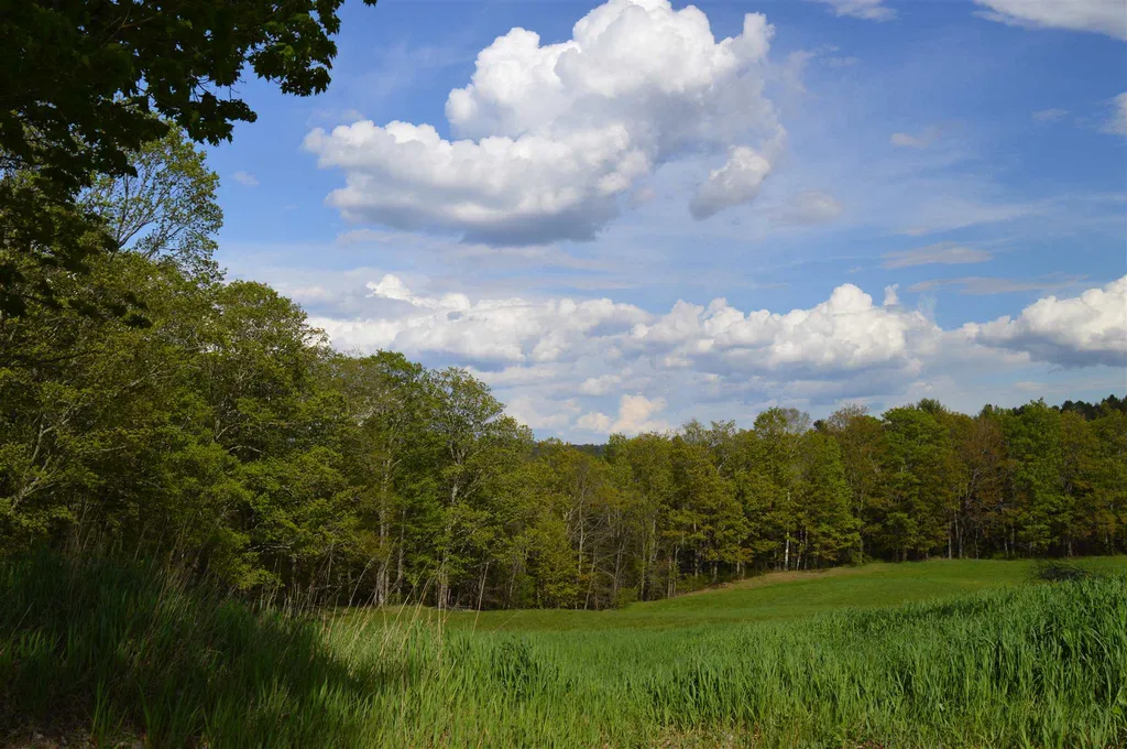 263 Thurston Hollow Corinth VT 05039