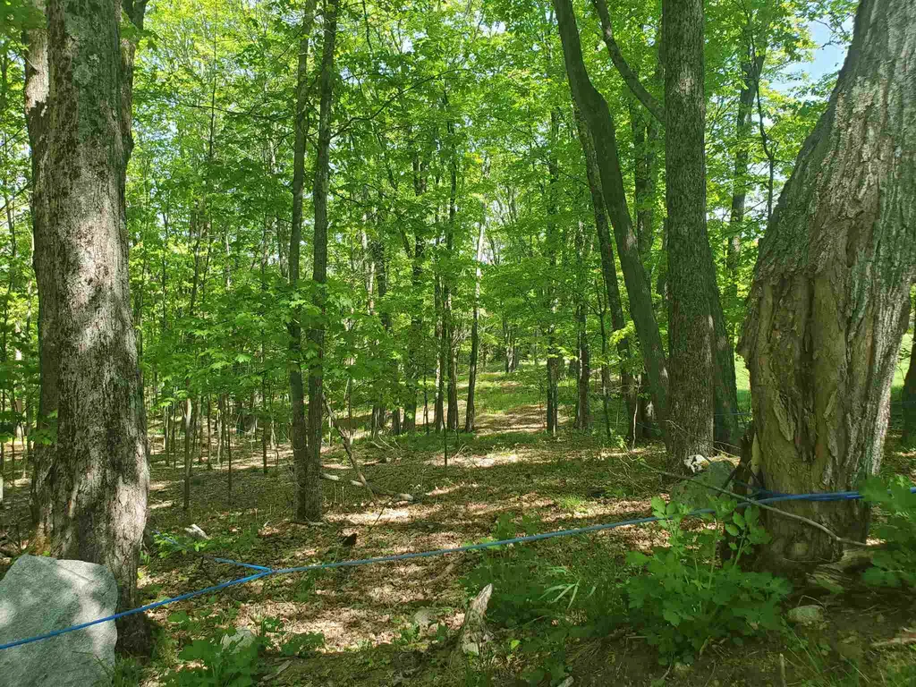 263 Thurston Hollow Corinth VT 05039