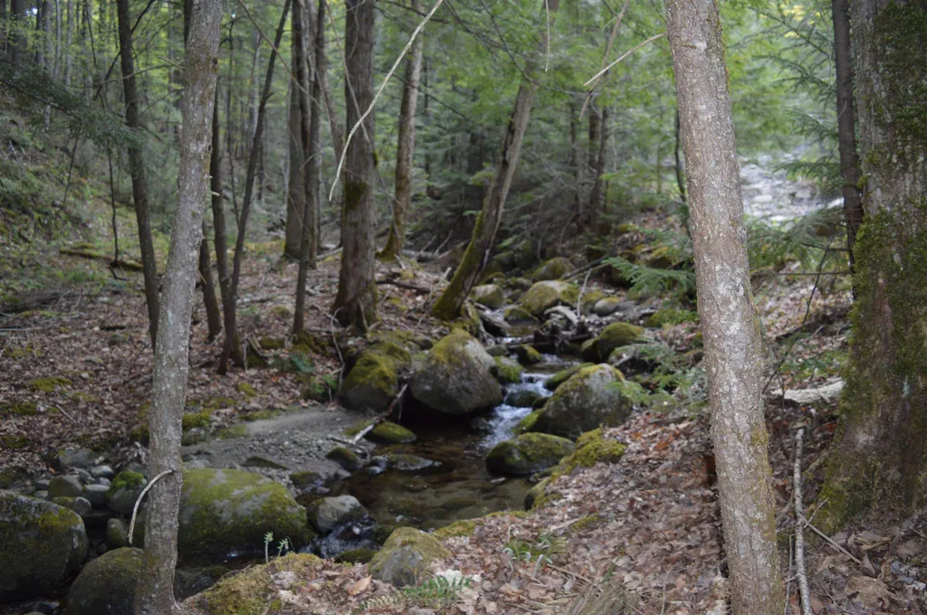263 Thurston Hollow Corinth VT 05039
