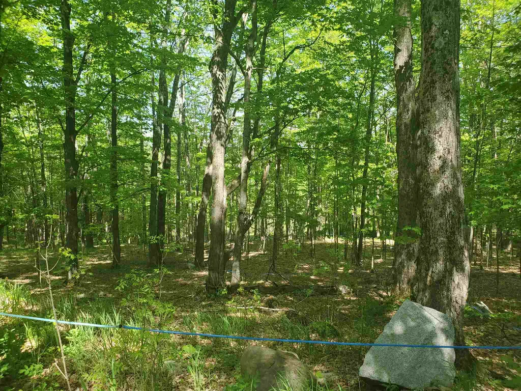 263 Thurston Hollow Corinth VT 05039