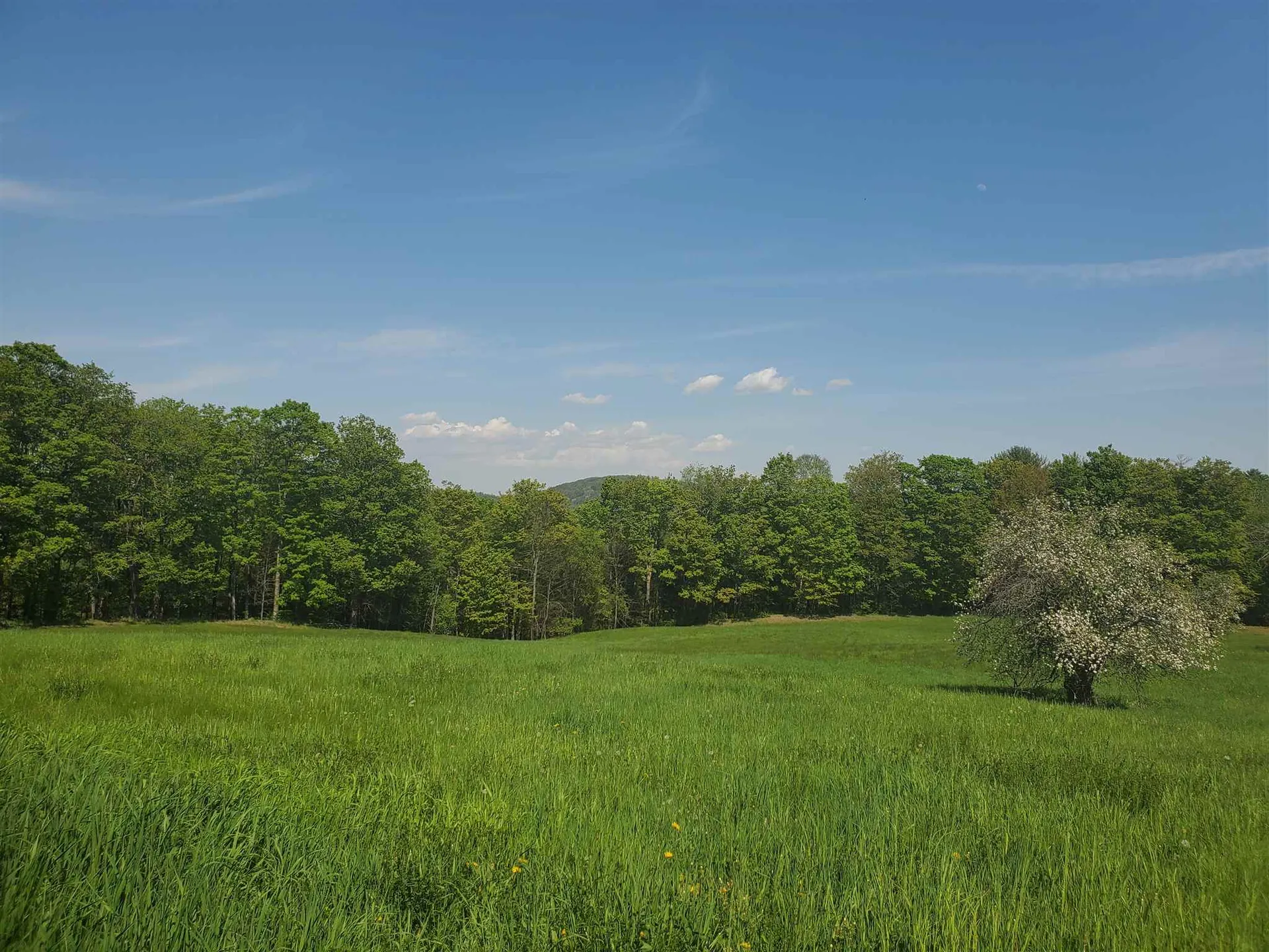 263 Thurston Hollow Corinth VT 05039