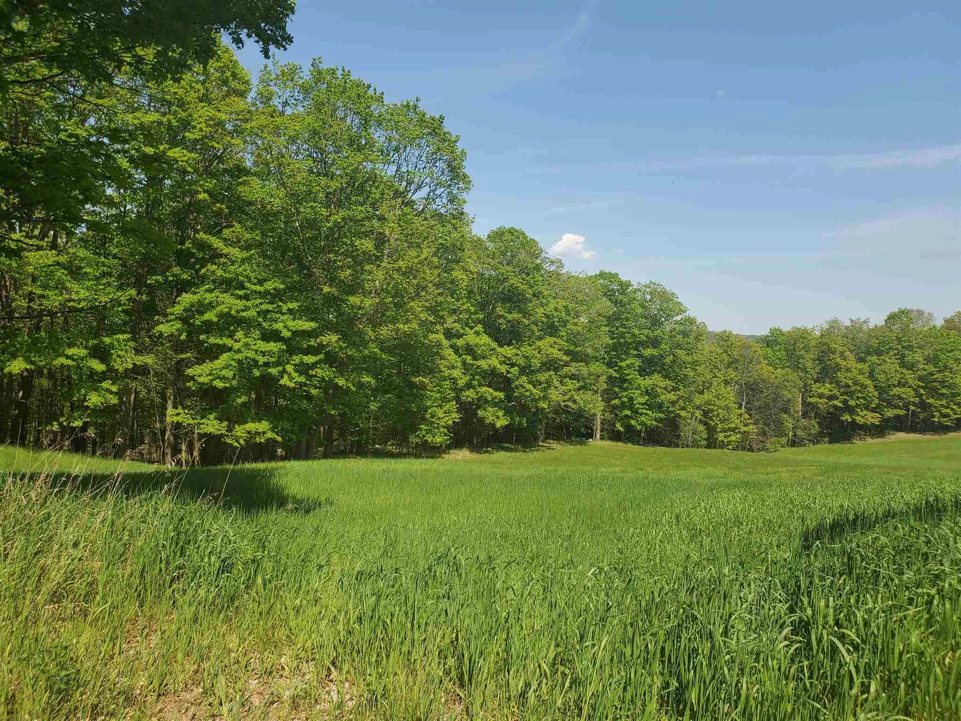 263 Thurston Hollow Corinth VT 05039