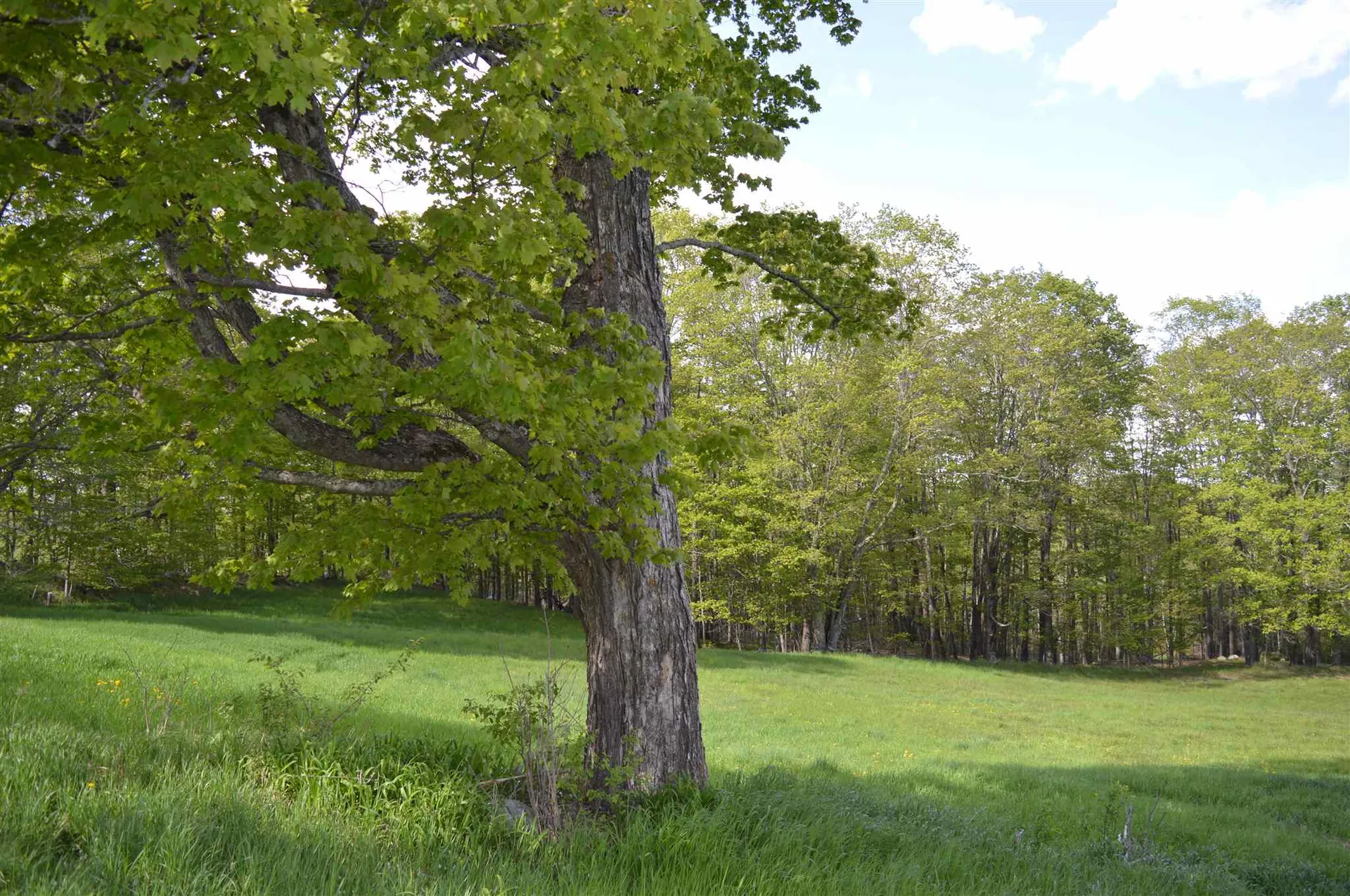 263 Thurston Hollow Corinth VT 05039