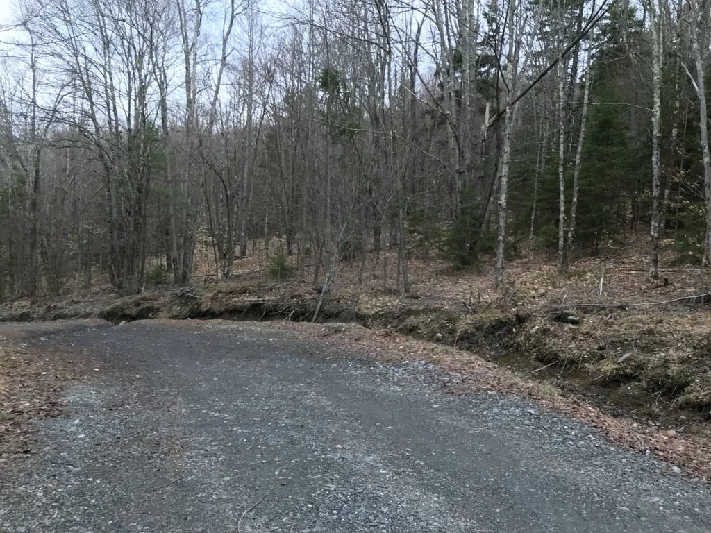 10-099 Old Log Road Stockbridge VT 05772