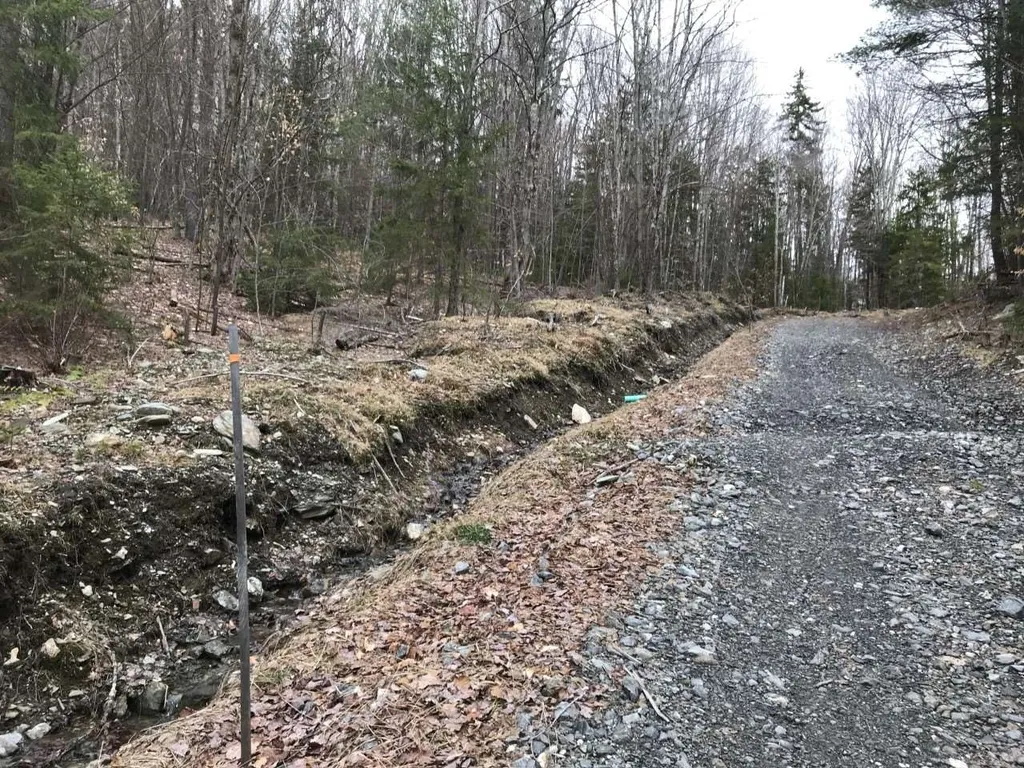 10-099 Old Log Road Stockbridge VT 05772