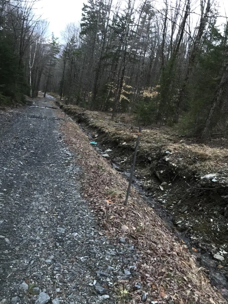 10-099 Old Log Road Stockbridge VT 05772