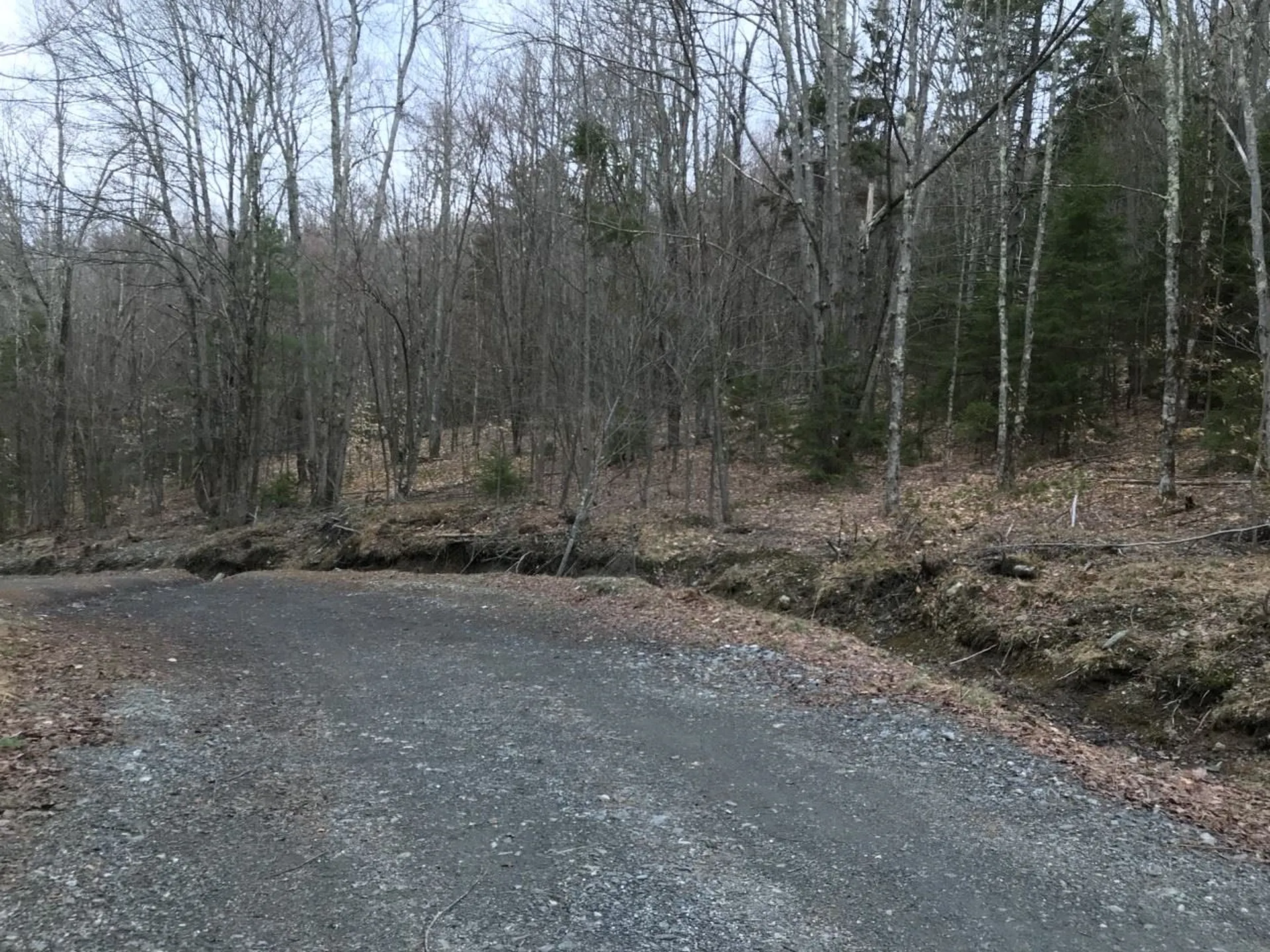 10-099 Old Log Road Stockbridge VT 05772