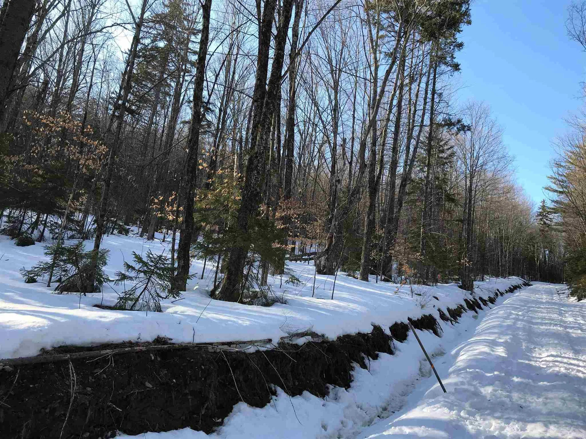 10-099 Old Log Road Stockbridge VT 05772