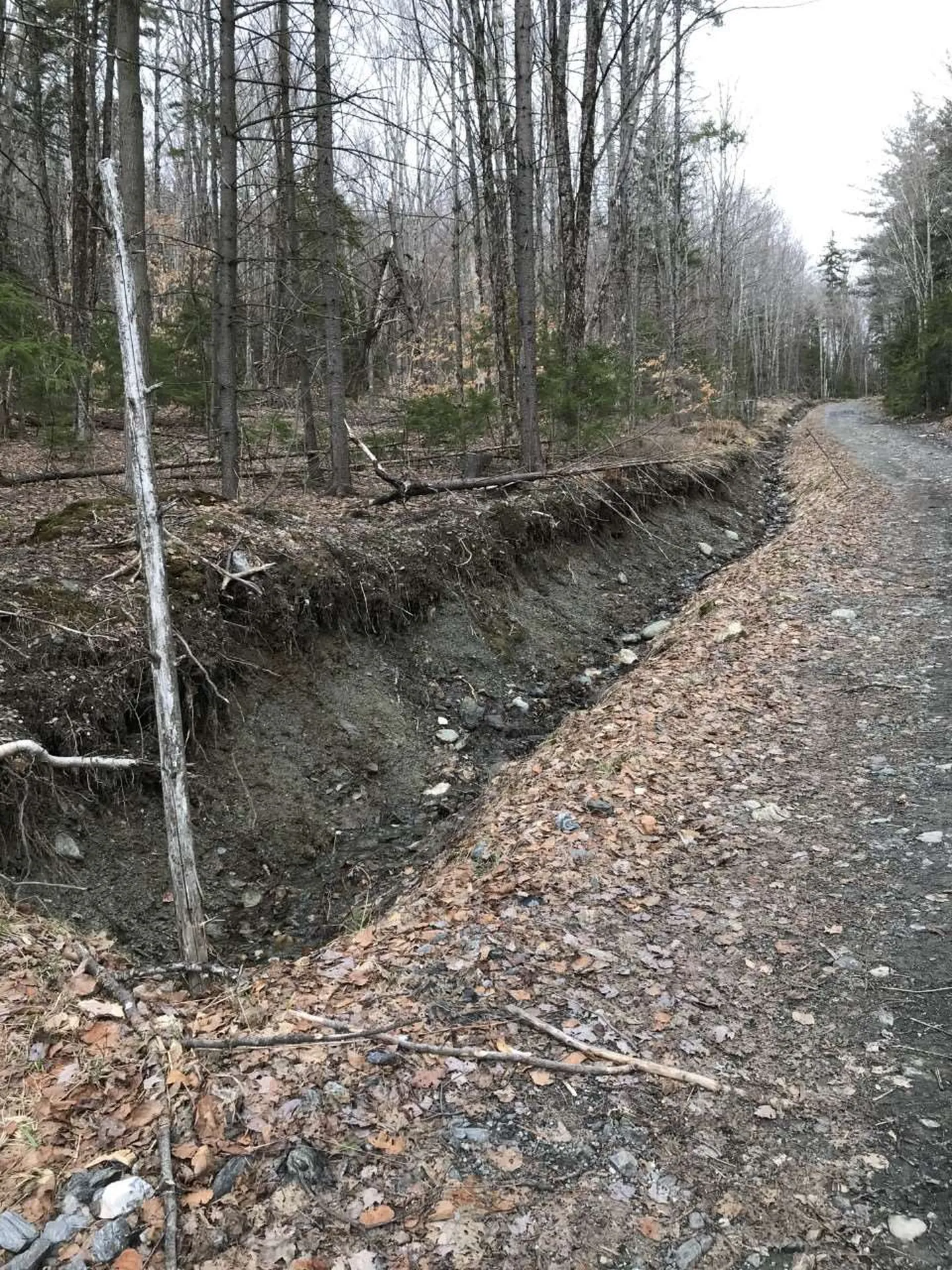 10-099 Old Log Road Stockbridge VT 05772