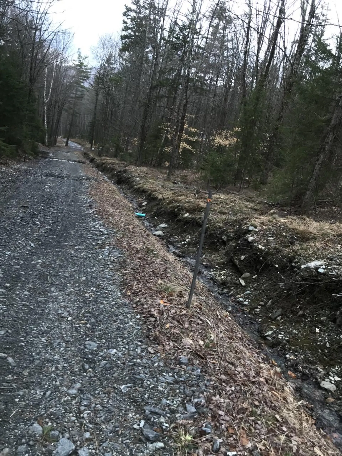 10-099 Old Log Road Stockbridge VT 05772