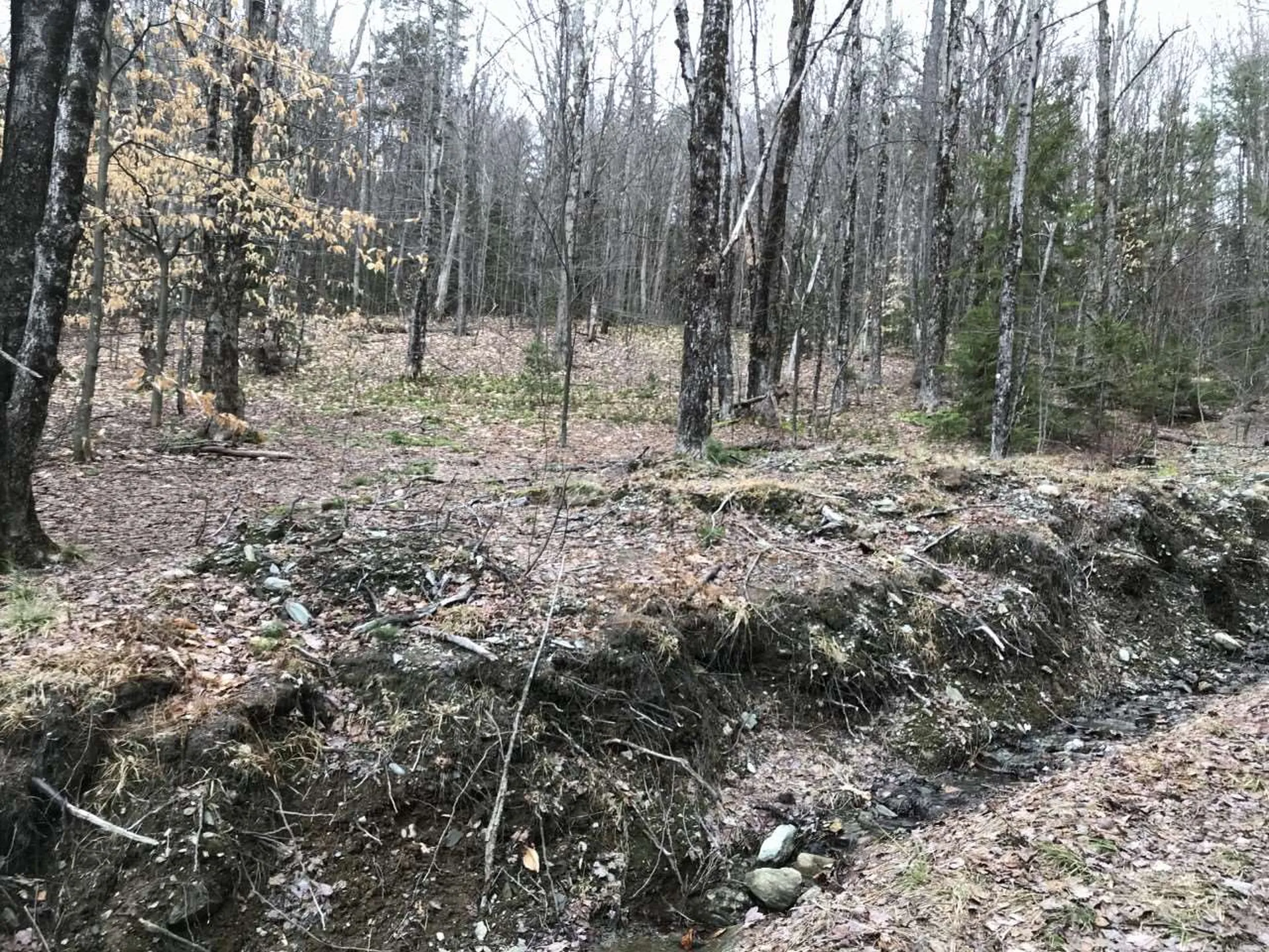 10-099 Old Log Road Stockbridge VT 05772