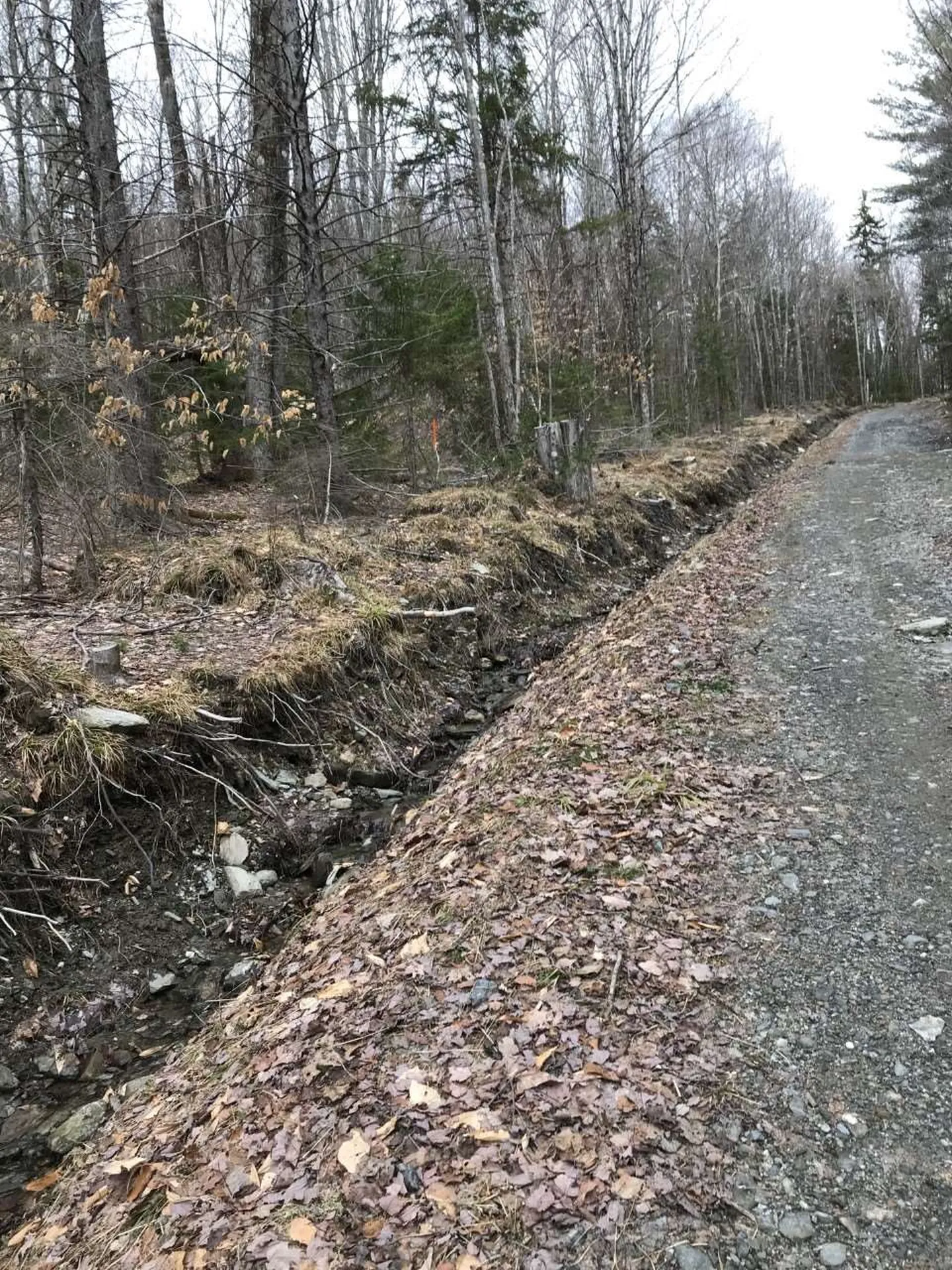 10-099 Old Log Road Stockbridge VT 05772