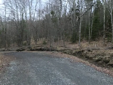 10-099 Old Log Road Stockbridge VT 05772