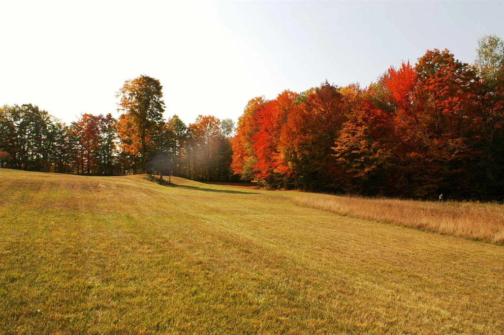 157 Felicity 1st Avenue Williamstown VT 05679