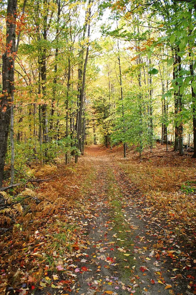 157 Felicity 1st Avenue Williamstown VT 05679