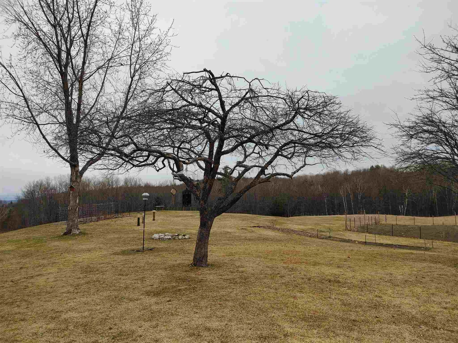 157 Felicity 1st Avenue Williamstown VT 05679