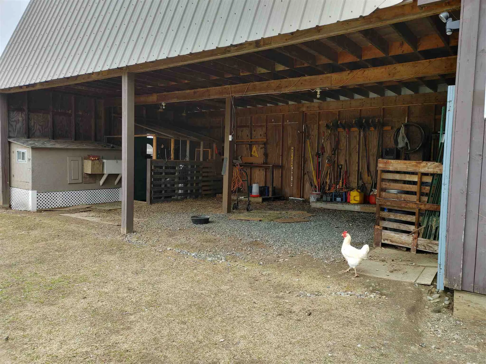 157 Felicity 1st Avenue Williamstown VT 05679