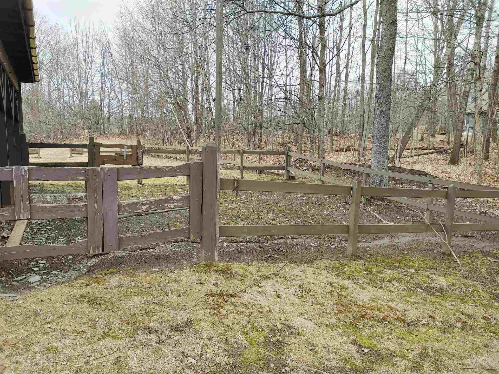 157 Felicity 1st Avenue Williamstown VT 05679