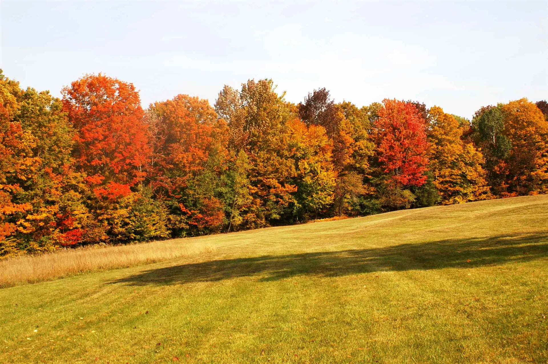 157 Felicity 1st Avenue Williamstown VT 05679