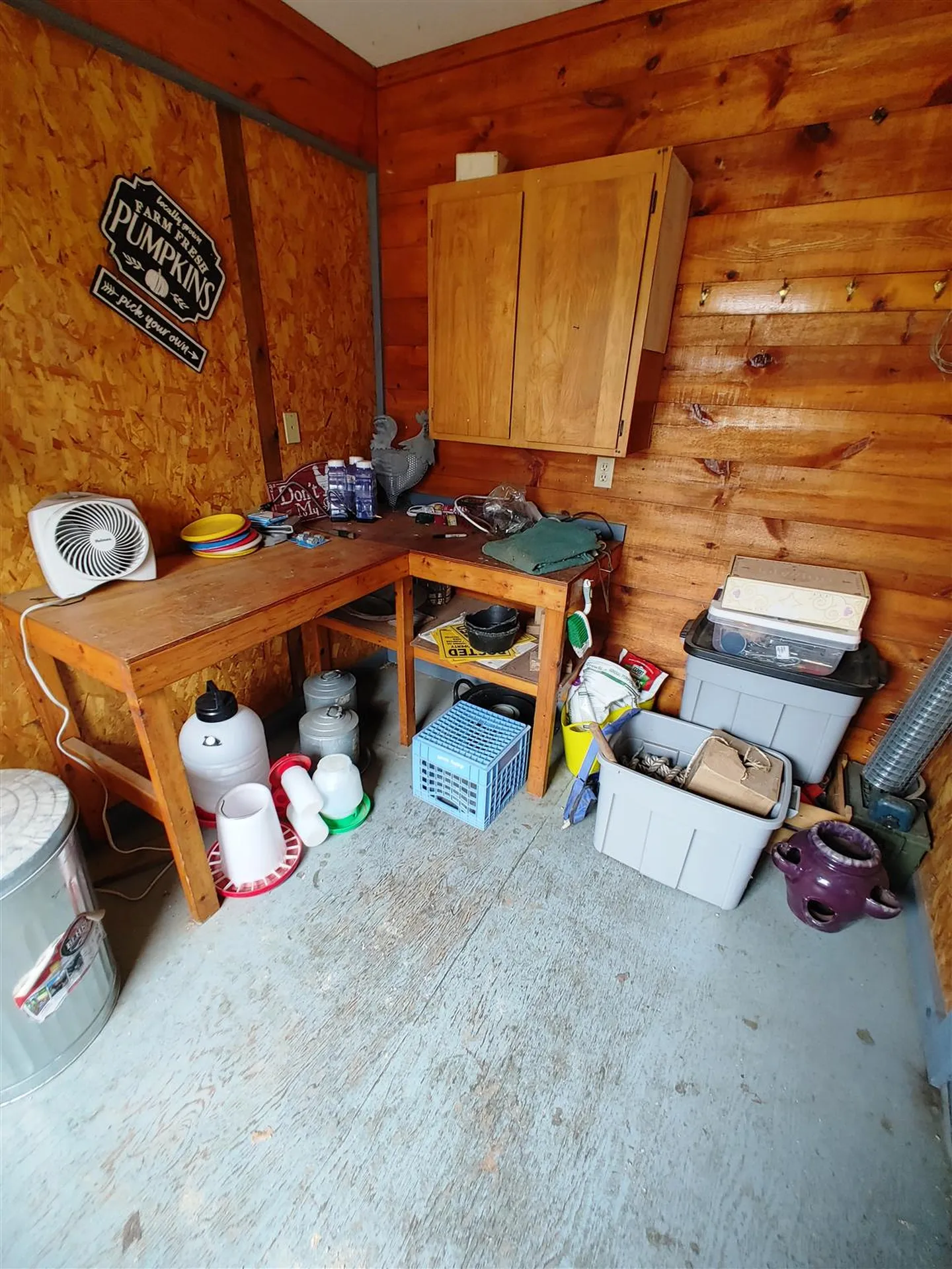 157 Felicity 1st Avenue Williamstown VT 05679