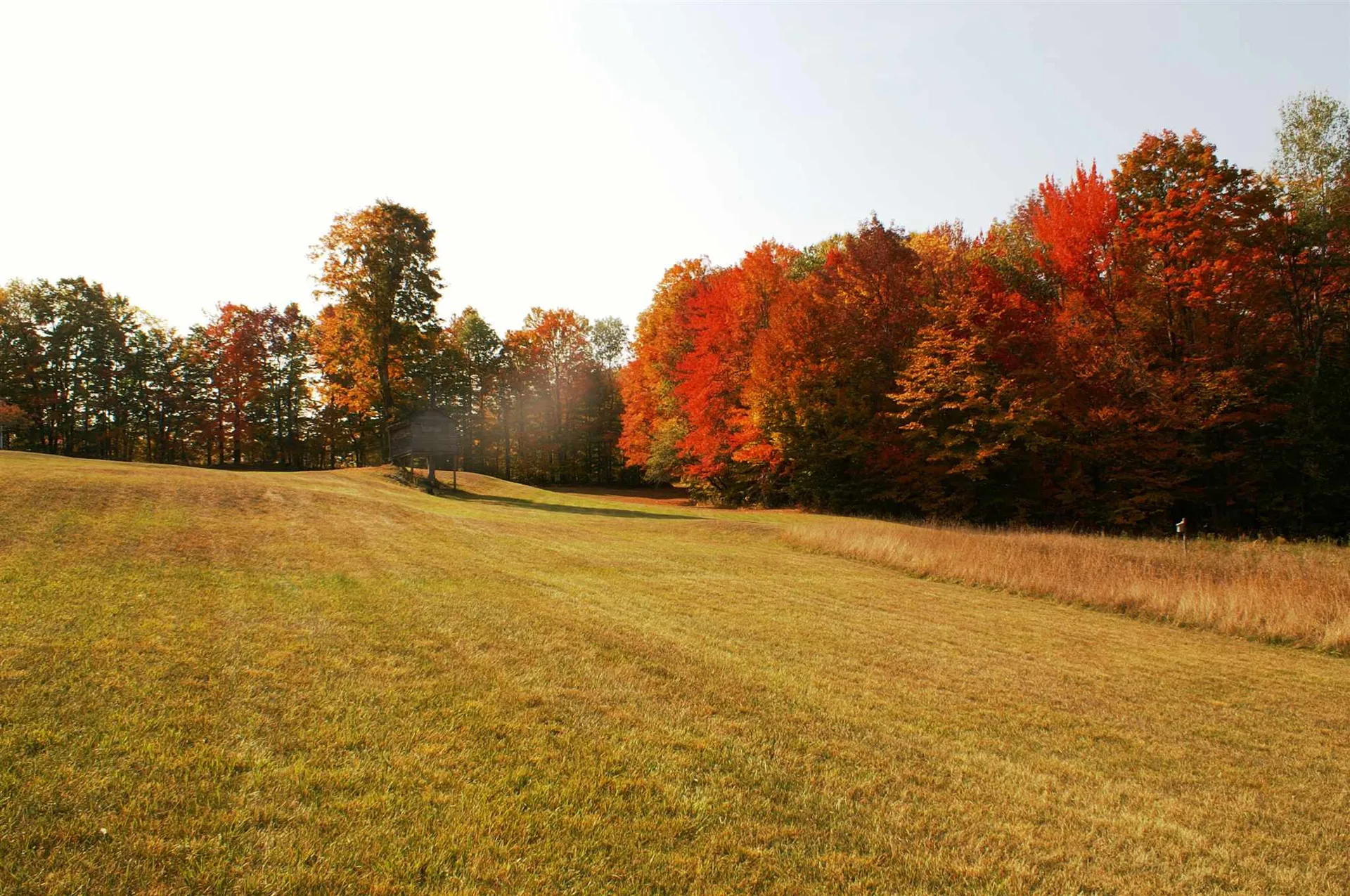 157 Felicity 1st Avenue Williamstown VT 05679