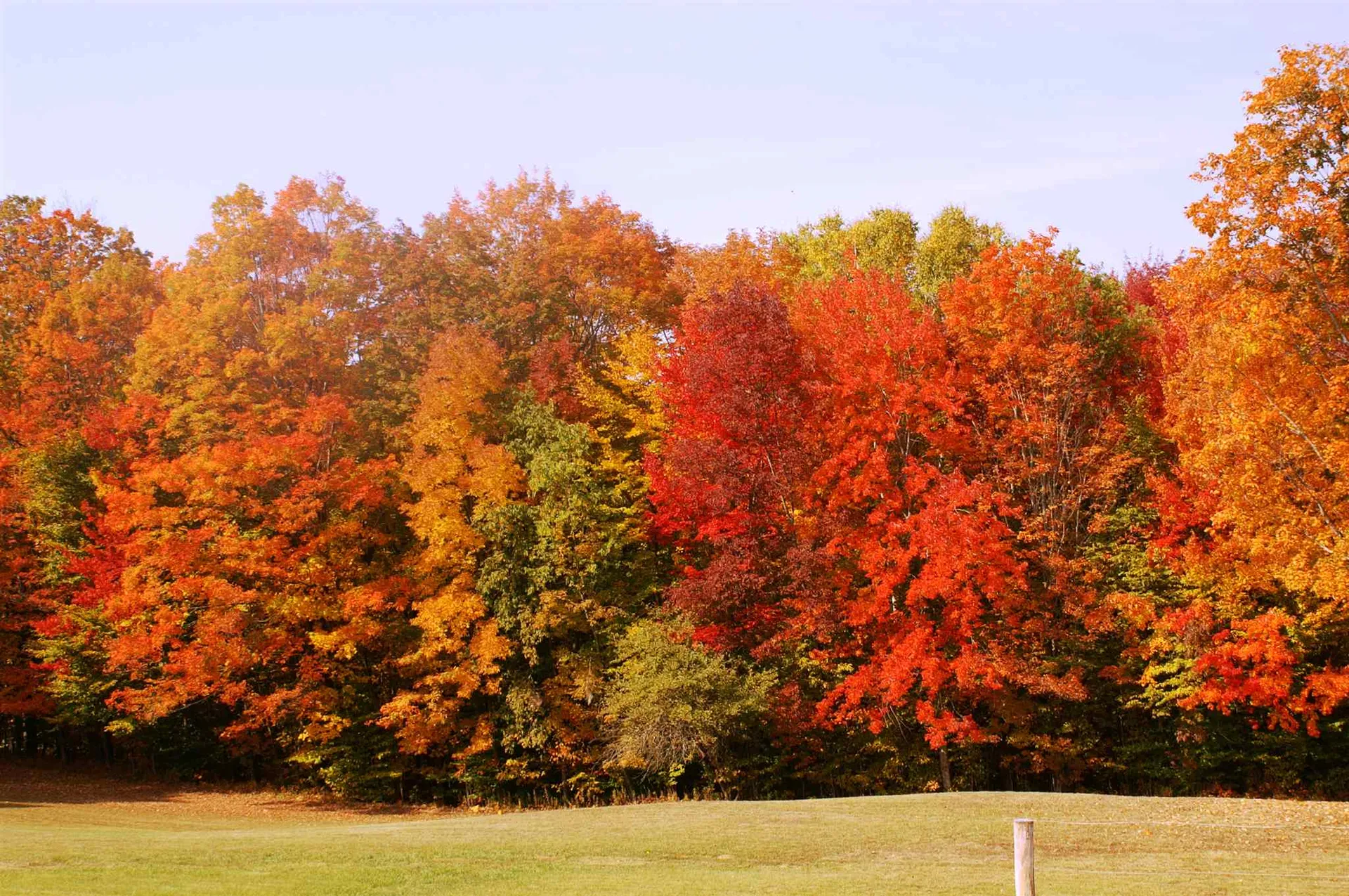 157 Felicity 1st Avenue Williamstown VT 05679