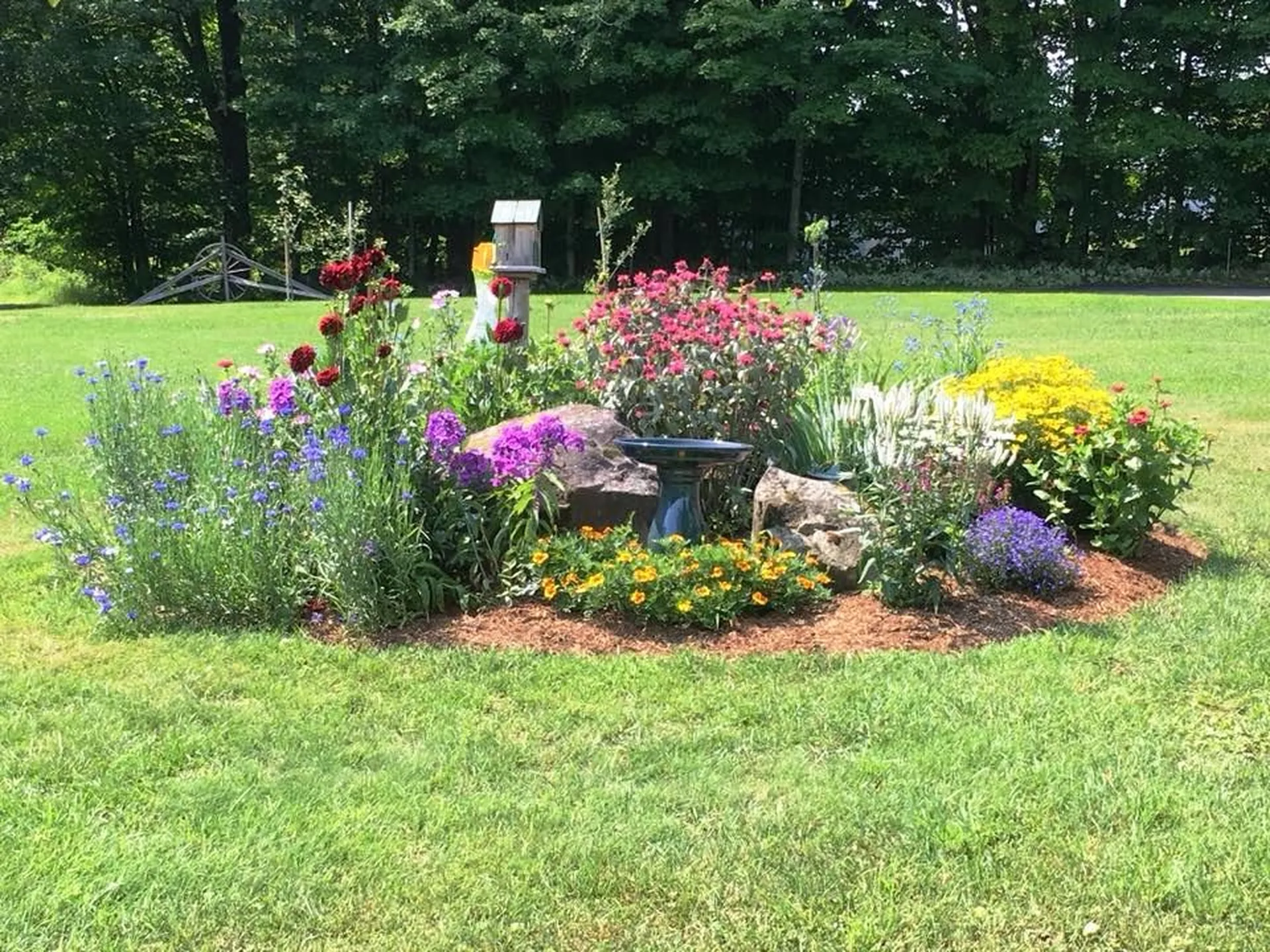 157 Felicity 1st Avenue Williamstown VT 05679